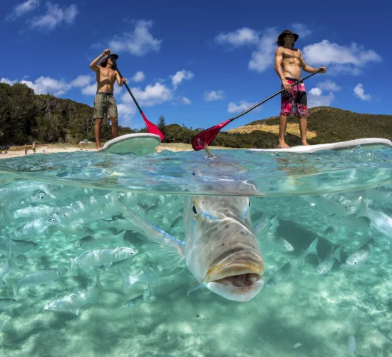 Kayaking or Stand-Up Paddleboarding