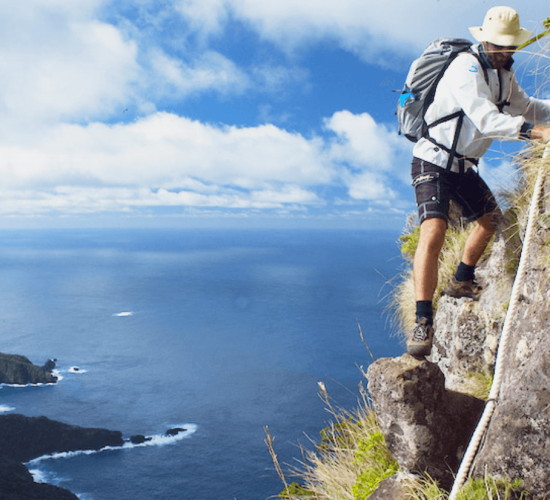 Lord Howe Island Environmental Tours