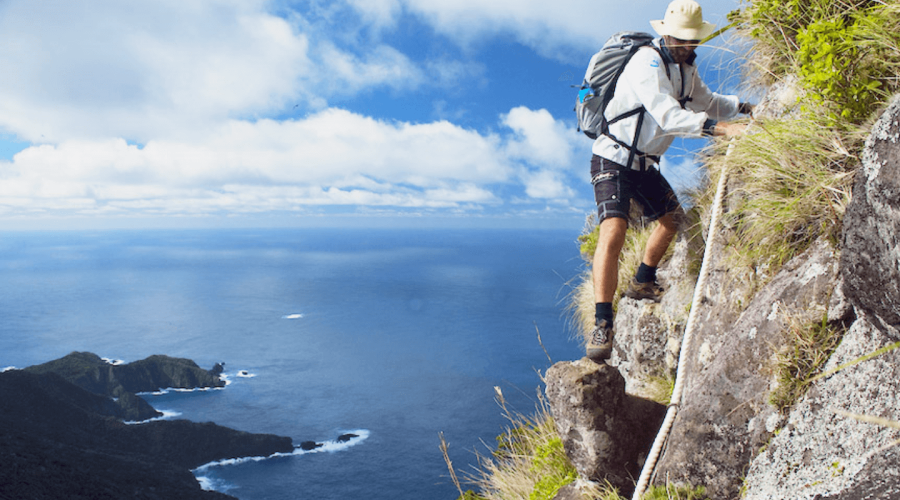 Lord Howe Island Environmental Tours
