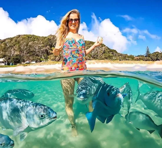 Snorkeling-at-Neds-Beach
