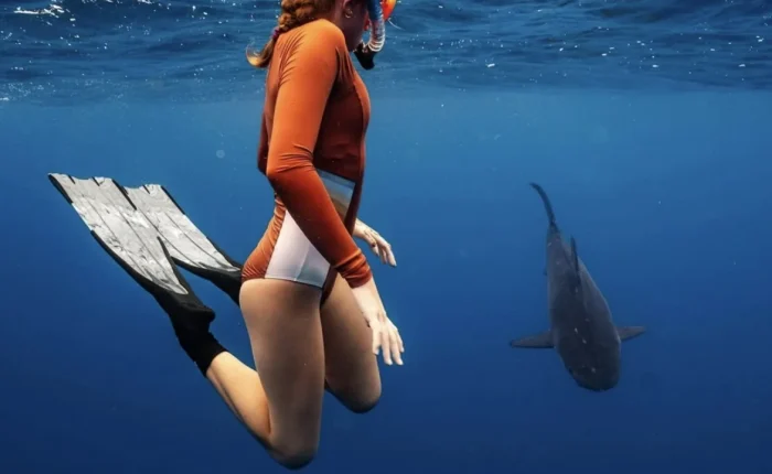 galapagos-shark-lord-howe-island-1