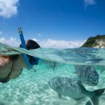 southern lagoon snorkeling