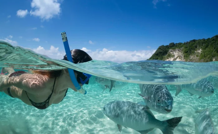 southern lagoon snorkeling