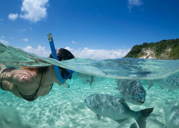 southern lagoon snorkeling