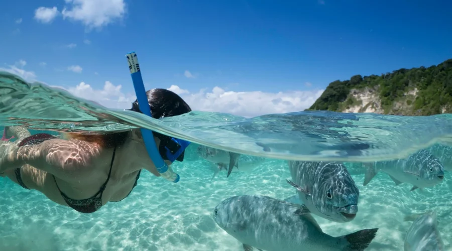 southern lagoon snorkeling