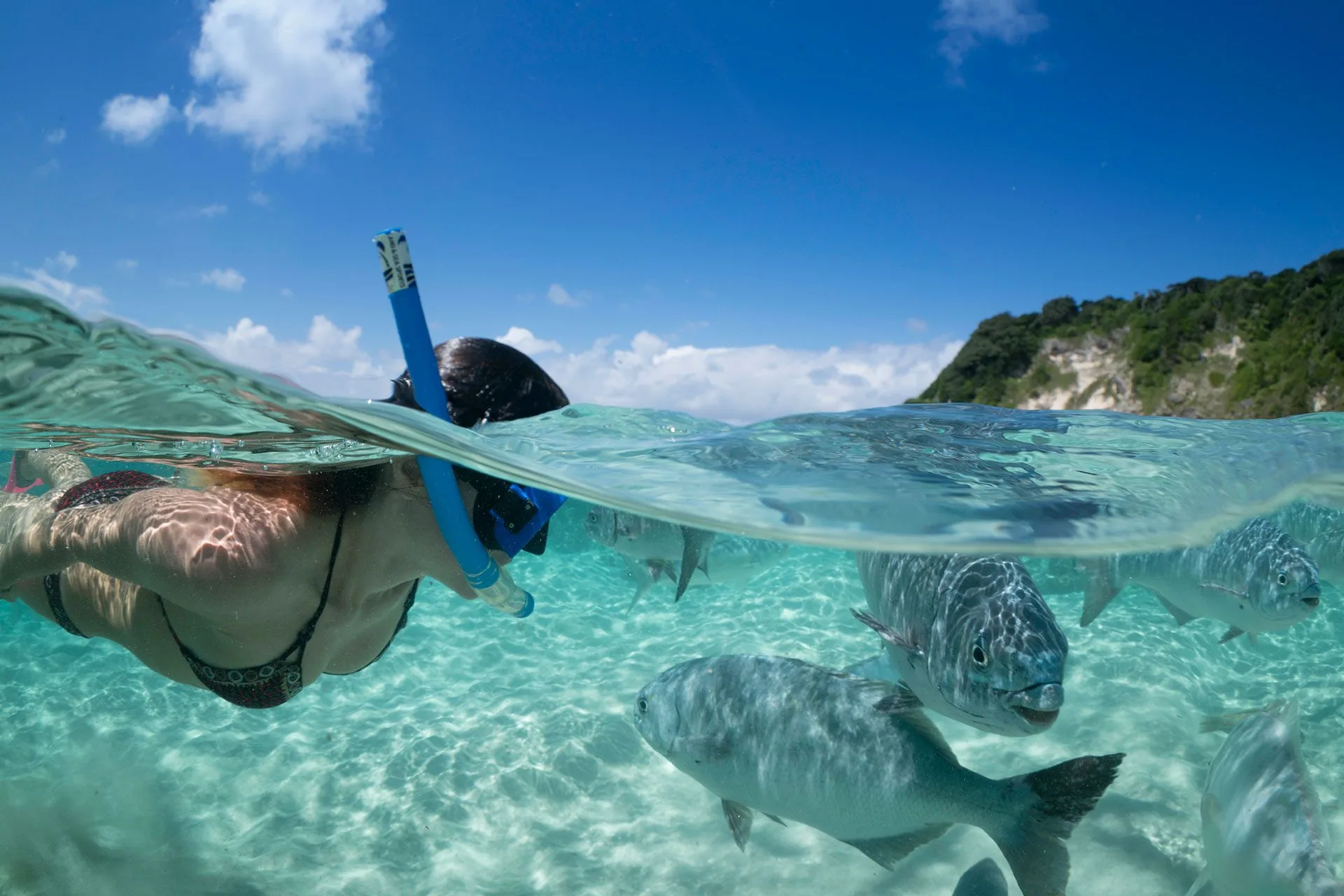 southern lagoon snorkeling